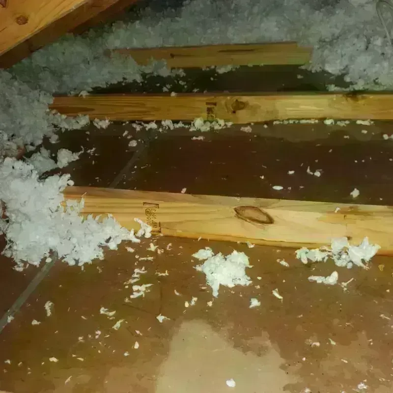 Attic Water Damage in Gerald, MO